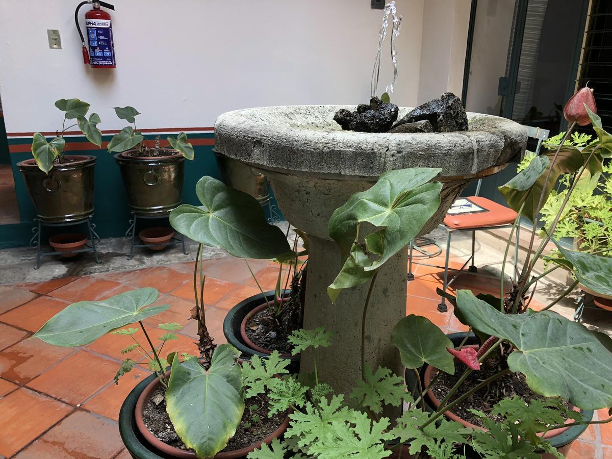 Meson Del Penasco Apartment Oaxaca Bagian luar foto
